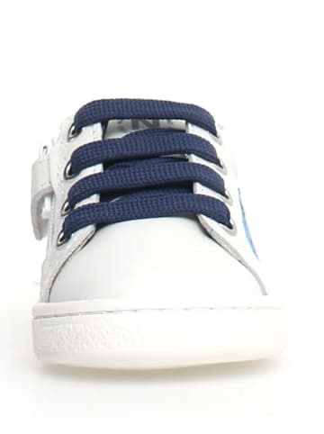 Naturino Leder-Sneakers "Pinn" in Weiß/ Dunkelblau/ Rot