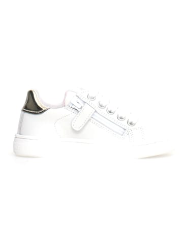 Naturino Leder-Sneakers "Pinn"