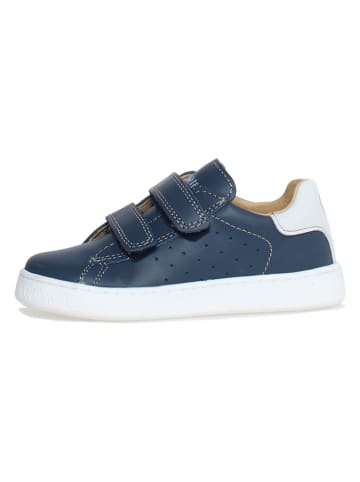 Naturino Leder-Sneakers "Hasselt" in Dunkelblau