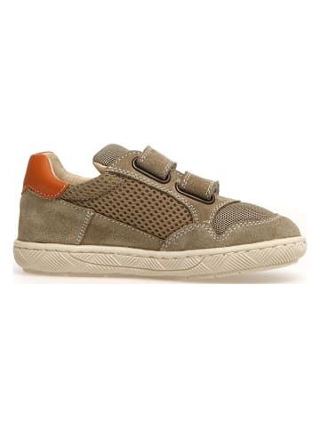 Naturino Leder-Sneakers "Lilox" in Khaki