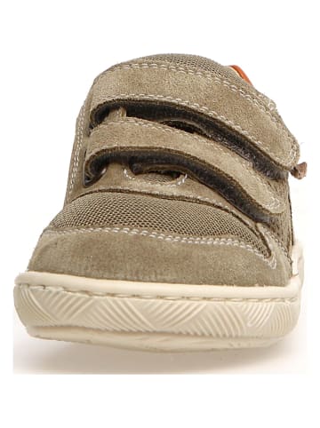 Naturino Leder-Sneakers "Lilox" in Khaki