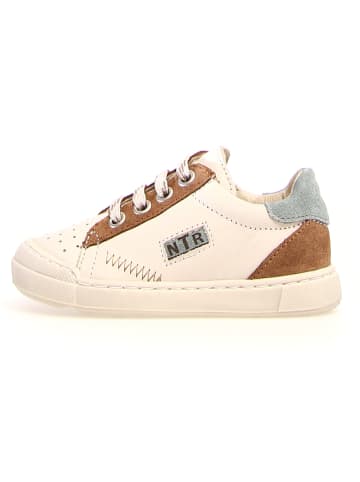 Naturino Leder-Sneakers "Faluk" in Hellbraun/ Creme