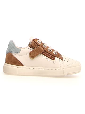 Naturino Leder-Sneakers "Faluk" in Hellbraun/ Creme