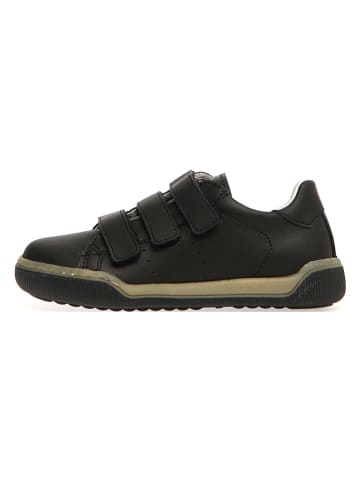 Naturino Leder-Sneakers "Cliff" in Schwarz