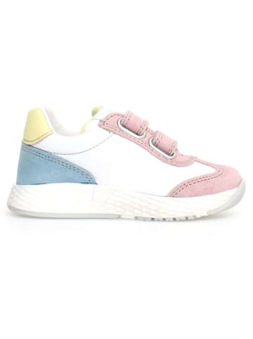 Naturino Leder-Sneakers "Jesko 2" in Weiß/ Bunt