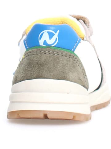Naturino Leder-Sneakers "Argal" in Hellblau/ Beige/ Weiß