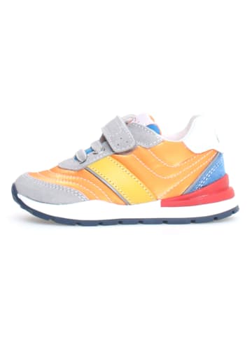Naturino Sneakersy "Ascal" ze wzorem