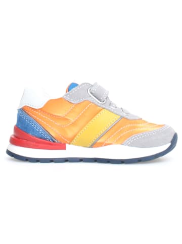 Naturino Sneakers "Ascal" in Bunt