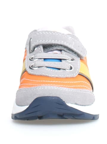 Naturino Sneakers "Ascal" in Bunt