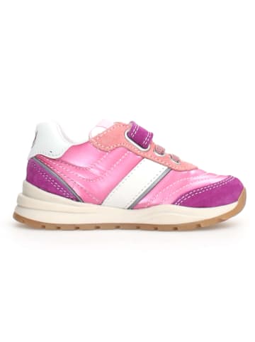 Naturino Sneakers "Ascal" in Pink/ Lila
