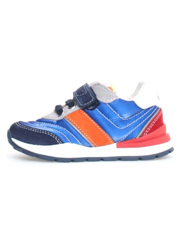 Naturino Sneakers "Ascal" blauw/rood