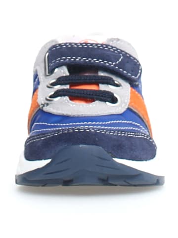 Naturino Sneakersy "Ascal" w kolorze niebiesko-czerwonym