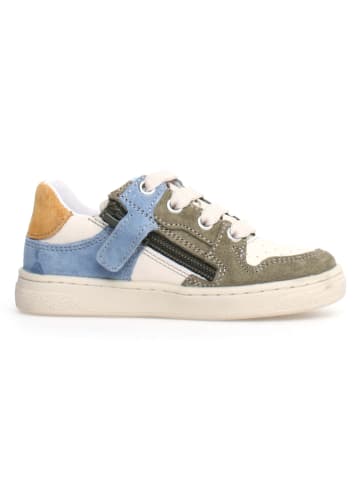 Naturino Leder-Sneakers "Folre" in Bunt