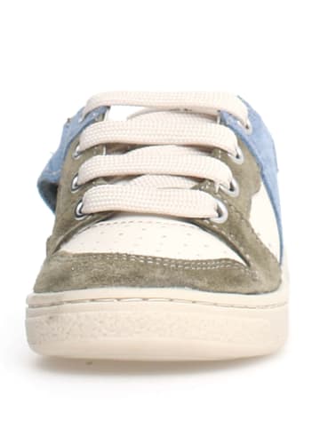 Naturino Leder-Sneakers "Folre" in Bunt