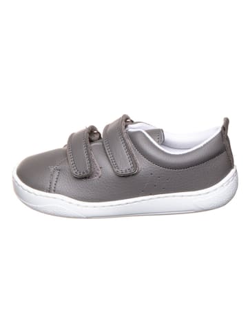 lamino Barfußschuhe in Grau