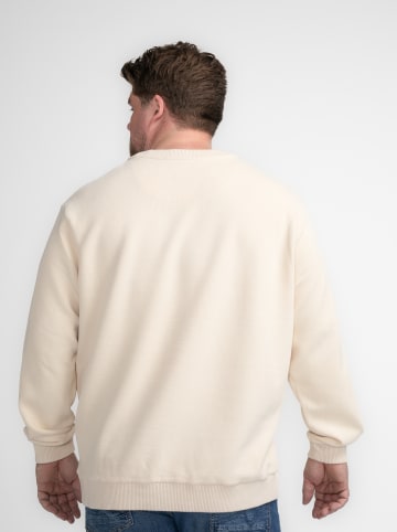 Petrol Industries Sweatshirt in Creme