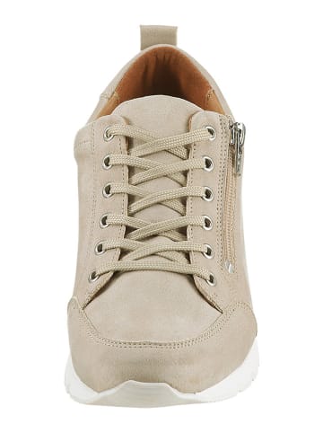 Heine Sneakers in Beige
