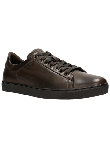 Wojas Leder-Sneakers in Braun