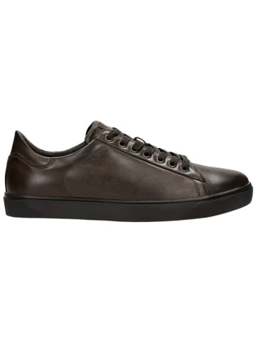 Wojas Leder-Sneakers in Braun