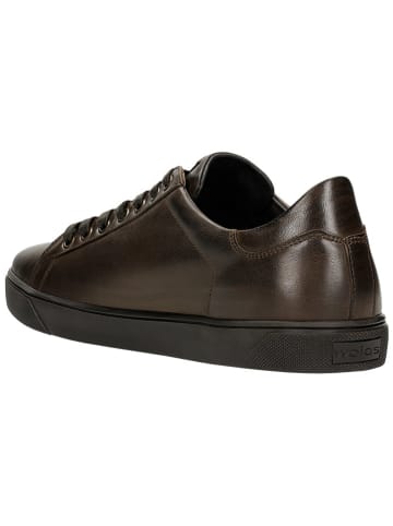 Wojas Leren sneakers bruin