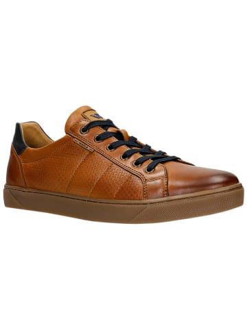 Wojas Skórzane sneakersy w kolorze jasnobrązowym