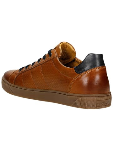 Wojas Skórzane sneakersy w kolorze jasnobrązowym