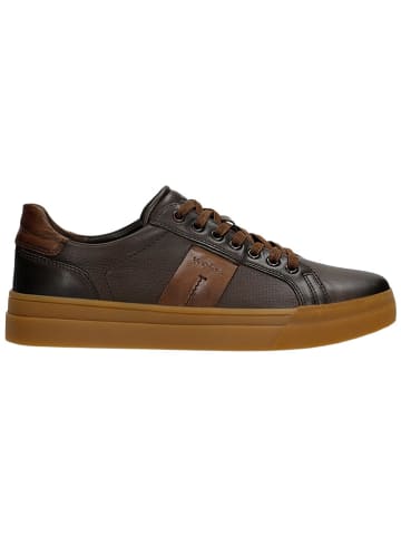 Wojas Leder-Sneakers in Braun