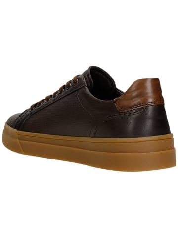 Wojas Leder-Sneakers in Braun