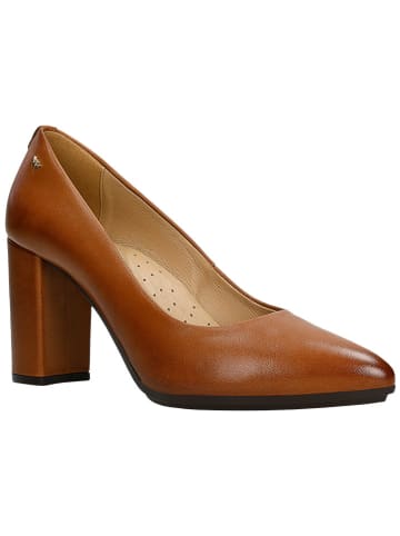 Wojas Leder-Pumps in Braun