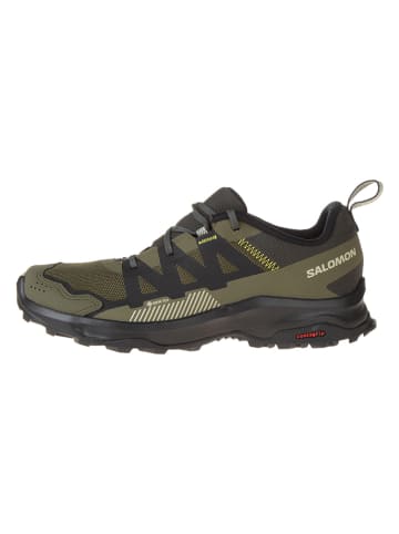 SALOMON Wandelschoenen "Ardent GTX" kaki