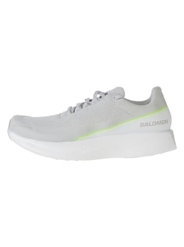 SALOMON Trailrunningschoenen "Index 02" grijs/wit