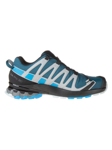 SALOMON Trailrunningschoenen "Xa Pro 3D V8 GTX" blauw