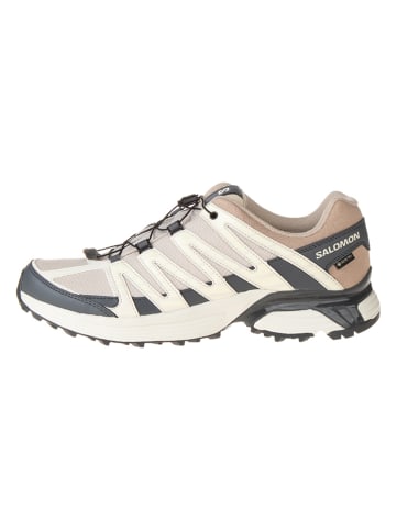 SALOMON Sneakers "XT Reckon GTX" beige