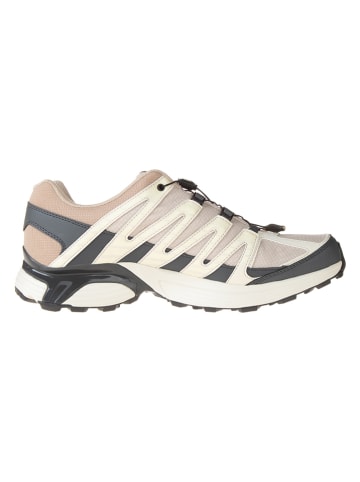 SALOMON Sneakers "XT Reckon GTX" in Beige