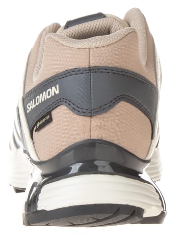 SALOMON Sneakers "XT Reckon GTX" in Beige