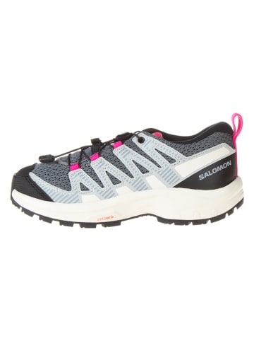 SALOMON Wandelschoenen "Xa Pro V8" grijs