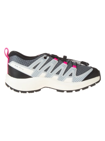 SALOMON Wandelschoenen "Xa Pro V8" grijs