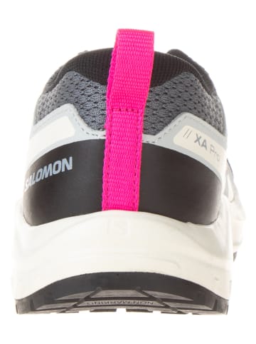 SALOMON Wandelschoenen "Xa Pro V8" grijs