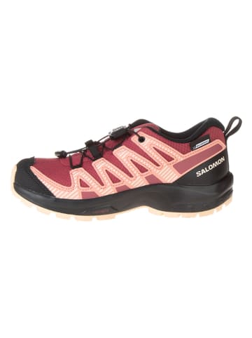 SALOMON Wandelschoenen "Xa Pro V8 CSWP" rood/beige