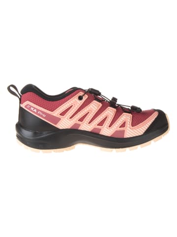 SALOMON Wandelschoenen "Xa Pro V8 CSWP" rood/beige