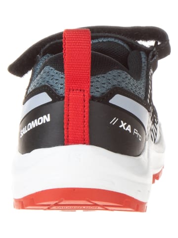 SALOMON Wanderschuhe "Xa Pro V8" in Dunkelblau