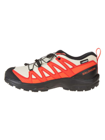 SALOMON Wandelschoenen "Xa Pro V8 CSWP" oranje