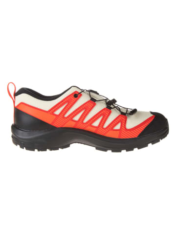 SALOMON Wanderschuhe "Xa Pro V8 CSWP" in Orange