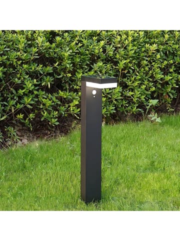 lumisky Solar-Gartenstecker "Cenova" in Schwarz - (B)16,5 x (H)50 x (T)9 cm