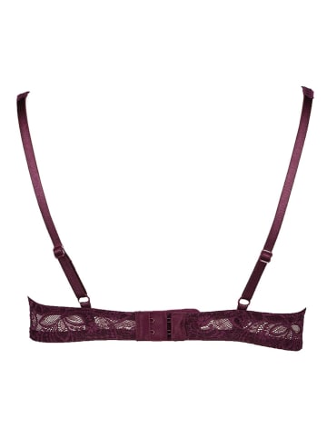 LASCANA Schalen-BH in Lila