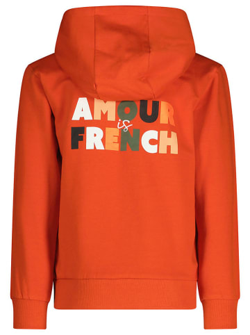Tygo & Vito Hoodie in Orange