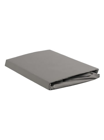 Ambiante Jersey-Topper-Spannbettlaken in Grau