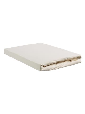 Ambiante Jersey-Topper-Spannbettlaken in Creme