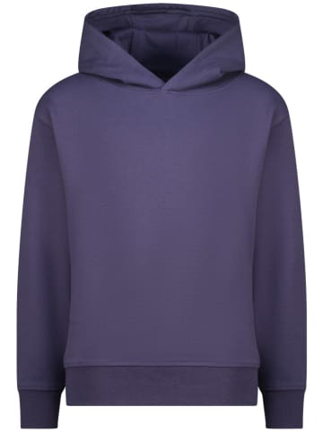 RAIZZED® Hoodie in Violett