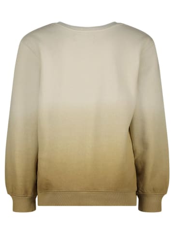 RAIZZED® Sweatshirt "Male" in Hellbraun/ Beige